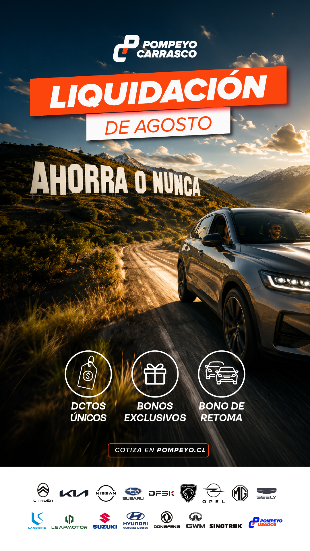 _Liquidacion Storie